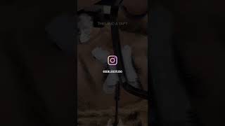 Lash Map Tips Eps 365 Are You A Yapper Or A Napper? Z