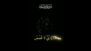 #سورة_يوسف #المصحف #قرآن #اجمل_تلاوة_مهدئة_للاعصاب 💚💚💚#اكسبلور