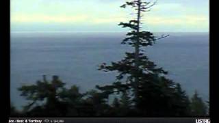 1 2 841 both eagles on linus tree; fly off and land on bst trilling