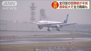 全日空が国際線を大幅減　北米路線の主力運休も(20/03/17)
