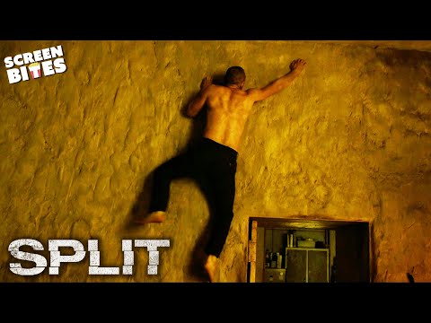 No Survivors | Split (2016) | Screen Bites