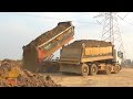 Incredible Hyundai Dump Truck Not Out Unloading Soils