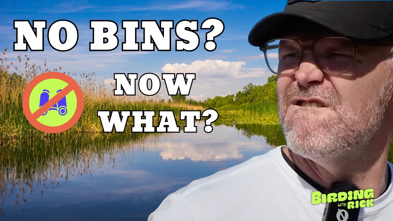 Я наблюдал за птицами без бинокля. Вот что я увидел.