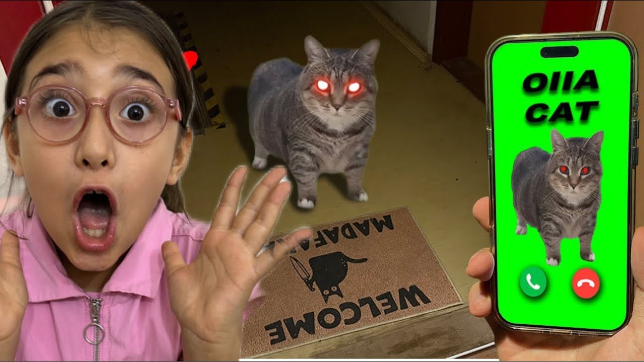 ELİF ASEL, OIIAOIIA CAT EXE KEDİ ARIYOR