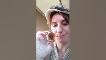 How To Eat A Jaffa Cake