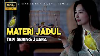 🔴 LIVE Masteran Pleci Materi Jadul Yang Masih Sering Juara Tembakan Mantenan Gunung