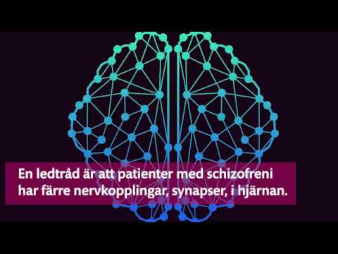 Video: Inriktning Av Metabotropa Glutamatreceptorer För Nya Behandlingar Av Schizofreni