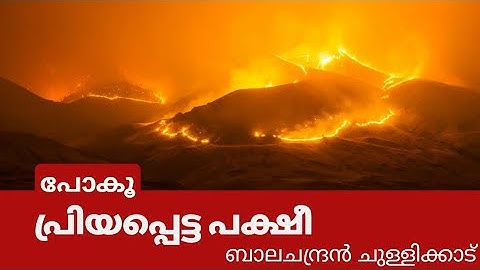 പോകൂ പ്രിയപ്പെട്ട പക്ഷീ | ബാലചന്ദ്രൻ ചുള്ളിക്കാട് | Poku Priyappetta Pakshi| Balachandran Chullikkad