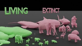 Largest Living vs Extinct Animals Compared to Human Sizes || 3D Animation