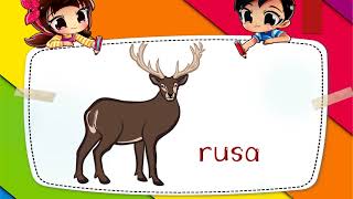 Haiwan Liar -Prasekolah