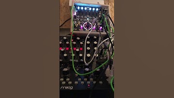 Ambient beat with a bunch of Moog / 4MS things