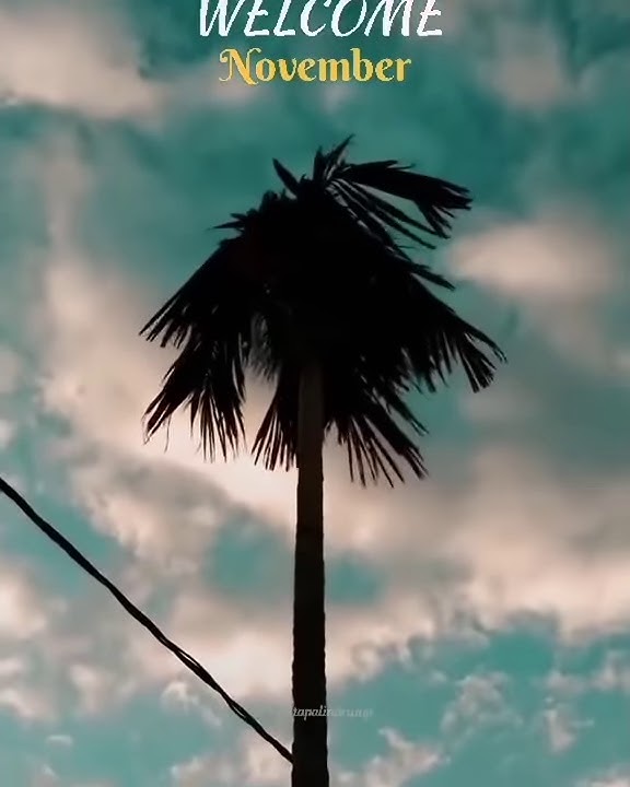 STORY WA DURASI 30 DETIK - 🎶 WELCOME TO BULAN NOVEMBER | SELAMAT ULANG TAHUN