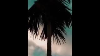 STORY WA DURASI 30 DETIK - 🎶 WELCOME TO BULAN NOVEMBER | SELAMAT ULANG TAHUN