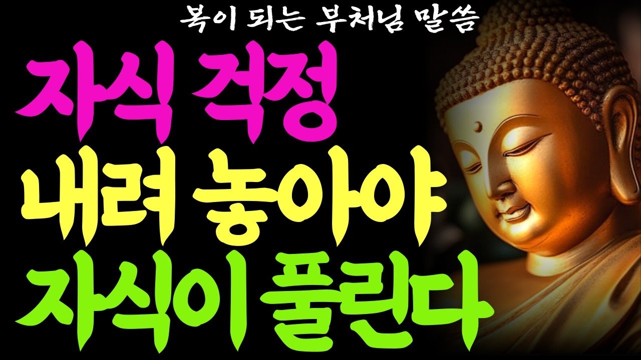 자식걱정 그만하고 싶습니다.