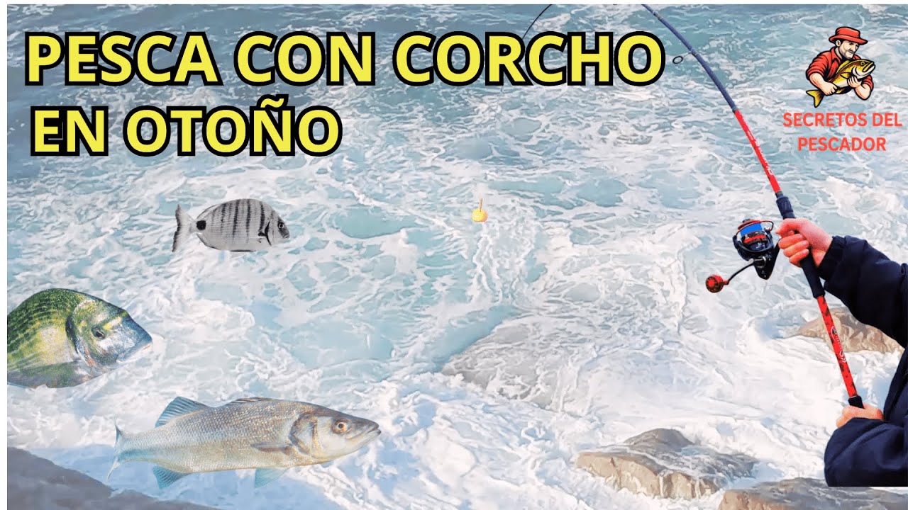 Pesca con corcho en otoño: técnicas, cebos y consejos para grandes capturas