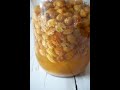 製作葡萄乾酵母 （培養酵液篇）Raisin Yeast Water  from scratch