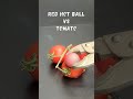 Red hot ball vs Tomato ✅ #satisfying  #Experiment #ASMR #Science #coconutmall #Redhotball