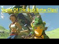 Some of The Best Botw Clips!