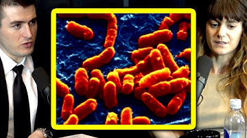 How to create life in the lab | Sara Walker and Lex Fridman