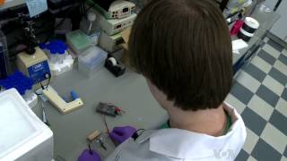 Teenager Wins Top Science Prize for Pancreatic Cancer Test