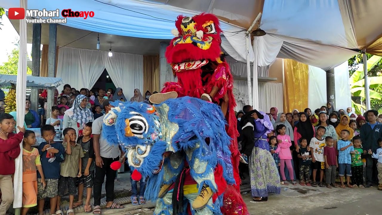 Atraksi barongsai (Basah basah) Burok BINTANG PANORAMA Live Wilulang