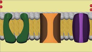 Molecular Level View Of Amino Acid Stimulation In Fish The Biosource Interpretation