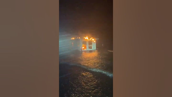 Chasing hurricane Milton! #hurricane#milton#Storm#Florida#destruction#wildlife #tornado#crazy#nature