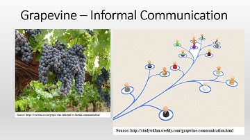 The Grapevine - Informal Communication