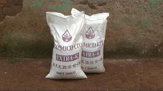 Maize Fertilizer Application