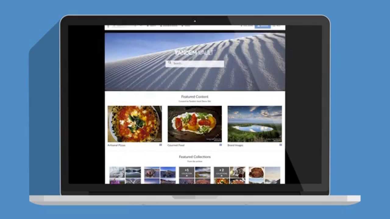 Tandem Vault: Digital Asset Management
