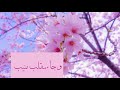 ايه قرانيه ادخلوها بسلام ذلك يوم الخلود 