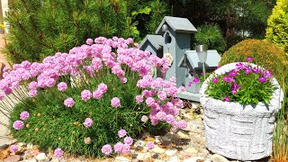 картинка: Цветы и Только Цветы! Клумба без Прополки. Как победить Сорняки на Клумбе #garden #сад #цветы