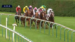 Vidéo de la course PMU PRIX DE MONTAIGU