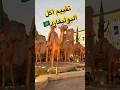 شنو احلا شي جربتوه مناك اماكن اكسبلور  مطاعم اكل الرياض السعودية