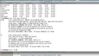 Famous Linux: making apache start at boot and disabling unnecessary services Net Worth