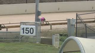 GEL MON 02 MAY 22 ST1