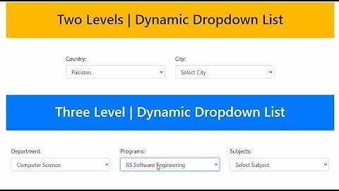 Three Level Dynamic Dropdown List in Laravel | dynamic dropdown box in Laravel | Source Code