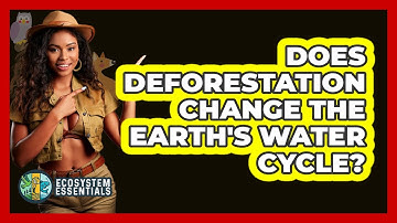 Does Deforestation Change The Earth