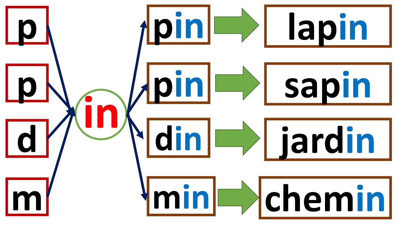 Apprendre le son [ɛ̃] en français : in, im, ein, ain