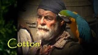 Pirates of the Caribbean Survivor