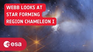 Webb’s view of the molecular cloud Chameleon I