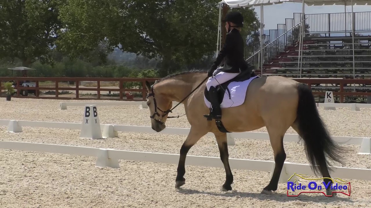 downs sims 054D Kaitlin Dicks on Castleside Maguire JR Beginner Novice Dressage Galway Downs May 2019