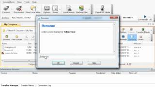FTP manage files via wsftp