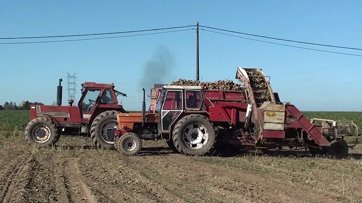 Landb. Lambert - Rves - Ford 7810 - Fiat 1000 - Fi...