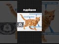 ЦРУ намагалось зробити з кота шпигуна 🐈