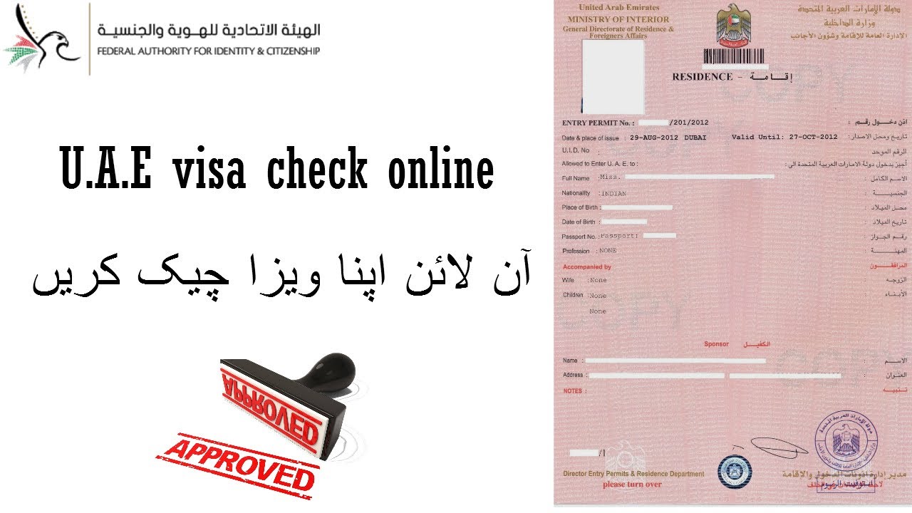 Золотая виза Дубай. UAE visa number. UAE visa status. Gold visa UAE. Visa checks