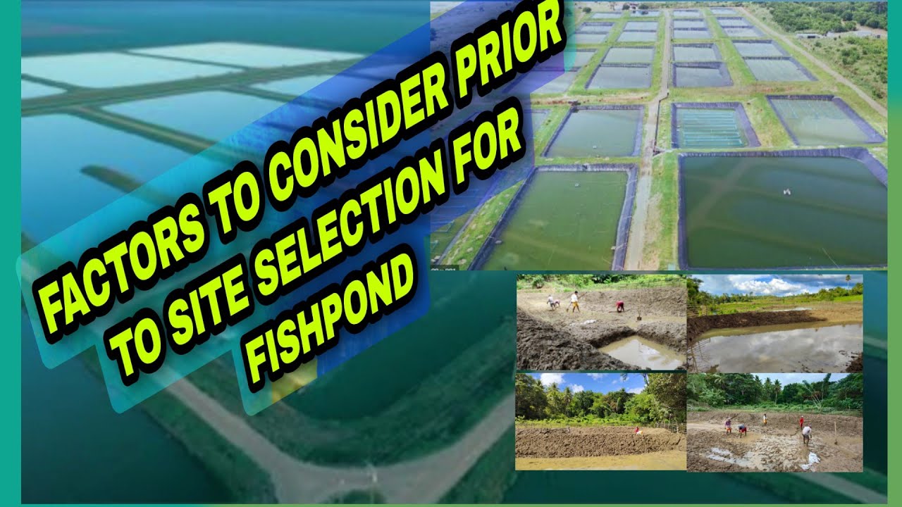 HOW TO SELECT A PERFECT SITE FOR POND CONSTRUCTION. 