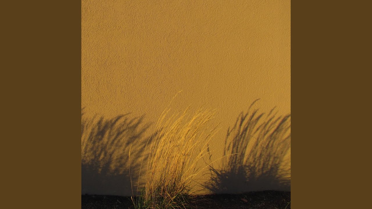 Watch White Forest on YouTube Watch White Forest on YouTube