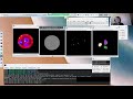 I2k 2020 tutorial 3d analysis with the 3d imagej suite session 2 part 1