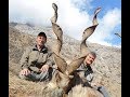 Markhor hunting is the best for conservation  by seladang